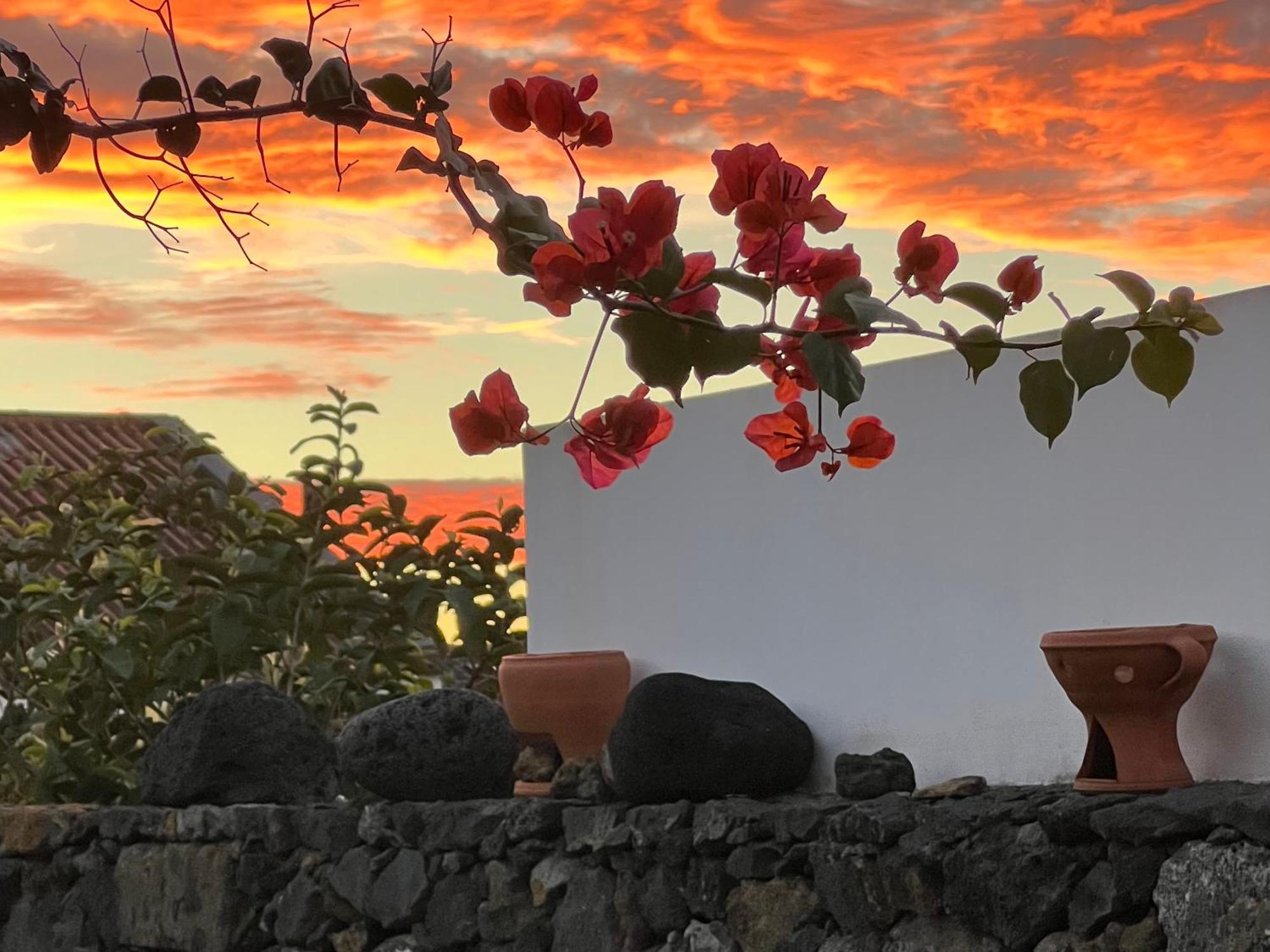 Willa Casa Do Moinho Ponta Delgada Zewnętrze zdjęcie